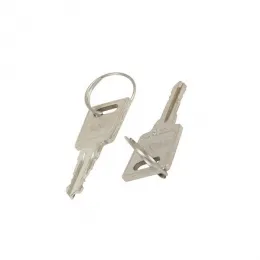 Набір ключів (2 шт.) замка дверей морозильної камери AEG 2912809049